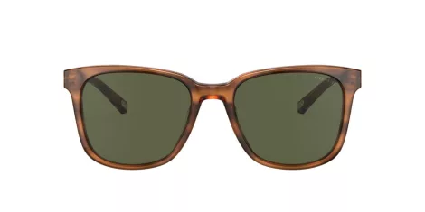 Coach C2095 HC 8313U 558171