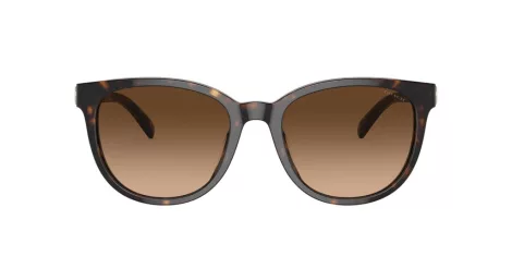 Coach Cd478 HC 8350U 512074