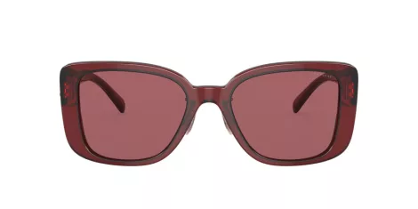 Coach Cd472 HC 8352 571369