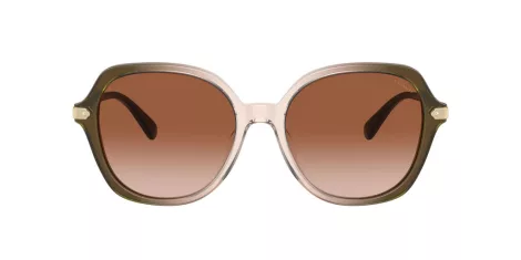 Coach Cl925 HC 8377U 540013