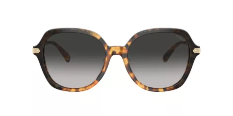 Coach Cl925 HC 8377U 577613