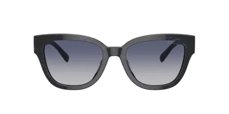 Coach Cl920 HC 8379U 57654L