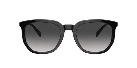 Coach Cl911 HC 8384U 50028G