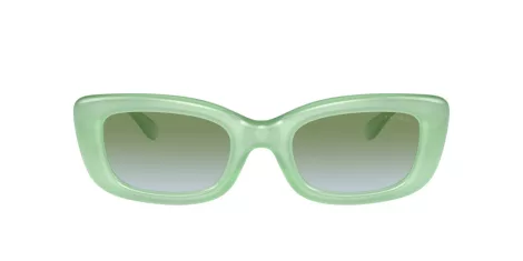 Coach Cr610 HC 8390U 5807I7