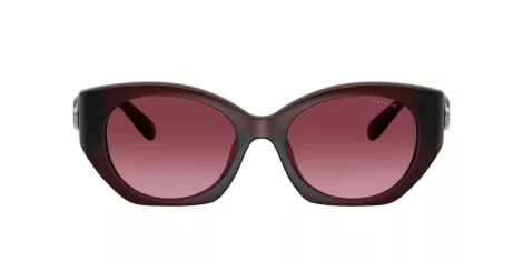 Coach Cw194 HC 8407U 53938H