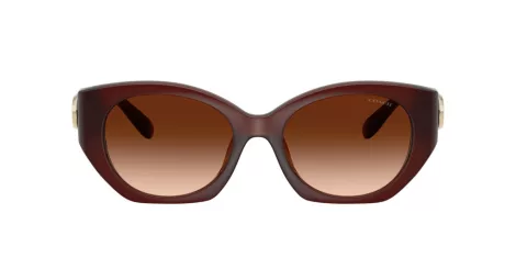 Coach Cw194 HC 8407U 584174