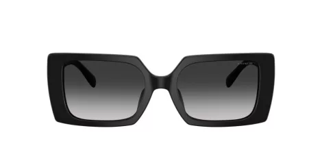 Coach Cw224 HC 8409U 50023C