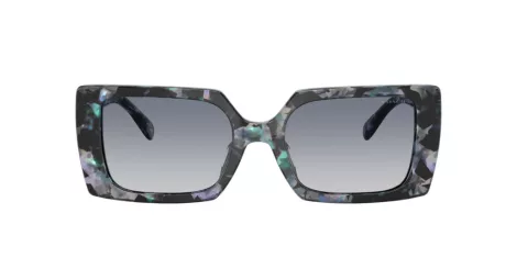 Coach Cw224 HC 8409U 584535