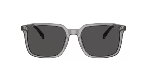 Coach Cw405 HC 8411U 584987