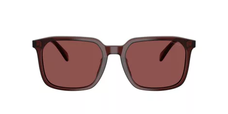 Coach Cw405 HC 8411U 585075