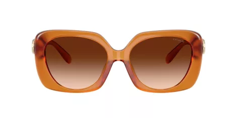 Coach Cad33 HC 8422U 564774