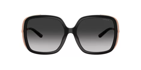 Coach Cad80 HC 8423U 50023C