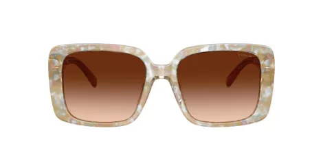 Coach Cad54 HC 8424U 586874