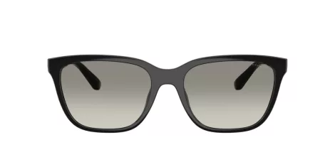 Coach Cae86 HC 8429D 50023C