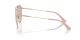 Jimmy Choo JC 4002B 3006/5