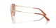 Jimmy Choo JC 4002B 300684