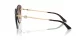 Jimmy Choo JC 4004HB 300613