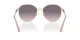Jimmy Choo JC 4007BD 300636