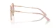 Jimmy Choo JC 4007BD 3008/5