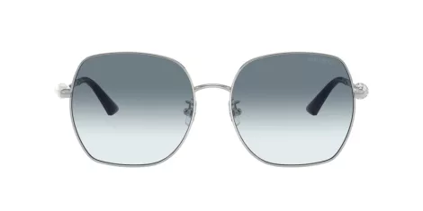 Jimmy Choo JC 4008HD 300219