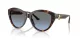 Jimmy Choo JC 5007 50028F
