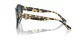 Jimmy Choo JC 5007 500419