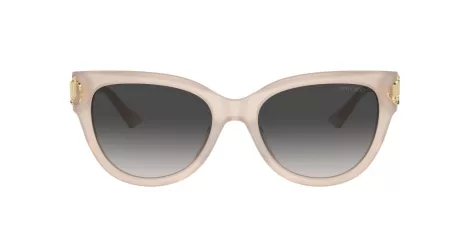 Jimmy Choo JC 5018U 50258G