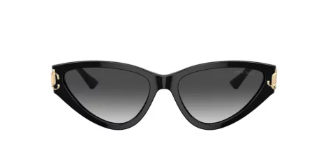 Jimmy Choo JC 5019 50008G
