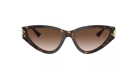 Jimmy Choo JC 5019 500213