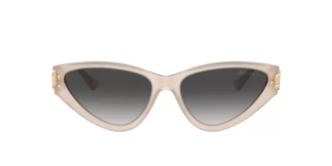 Jimmy Choo JC 5019 50258G