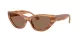 Jimmy Choo JC 5022B 505573