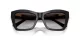 Jimmy Choo JC 5031 50008G