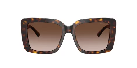 Jimmy Choo JC 5042 500213