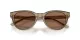 Jimmy Choo JC 5043D 505173