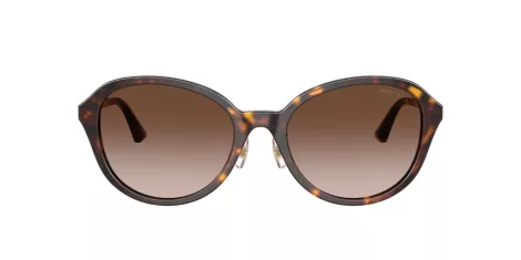 Jimmy Choo JC 5044D 500213