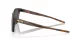 Oakley Ojector OO 9018 18
