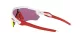 Oakley Radar Ev Path OO 9208 05