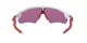 Oakley Radar Ev Path OO 9208 05