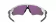 Oakley Radar Ev Path OO 9208 71