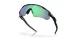 Oakley Radar Ev Path OO 9208 F0