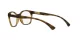 Oakley Tone Down OX 8168 02