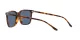 Polo PH 4194U 608980