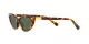 Polo PH 4199U 607871