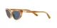 Polo PH 4199U 607980