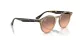 Ray-Ban RB 2180 678846