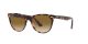 Ray-Ban Wayfarer Ii RB 2185 1334/51 Ray-Ban Wayfarer Ii RB 2185 1334/51