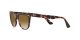 Ray-Ban Wayfarer Ii RB 2185 1334/51 Ray-Ban Wayfarer Ii RB 2185 1334/51