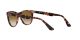 Ray-Ban Wayfarer Ii RB 2185 1334/51 Ray-Ban Wayfarer Ii RB 2185 1334/51