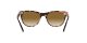 Ray-Ban Wayfarer Ii RB 2185 1334/51 Ray-Ban Wayfarer Ii RB 2185 1334/51