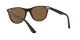 Ray-Ban Wayfarer Ii RB 2185 902/57 Férfi, Női napszemüveg Ray-Ban Wayfarer Ii RB 2185 902/57 Férfi, Női napszemüveg
